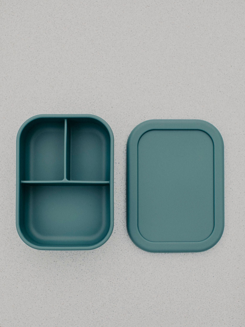 Set of 4 Silicone Lunch Boxes - 2 Bentos & 2 Rectangles
