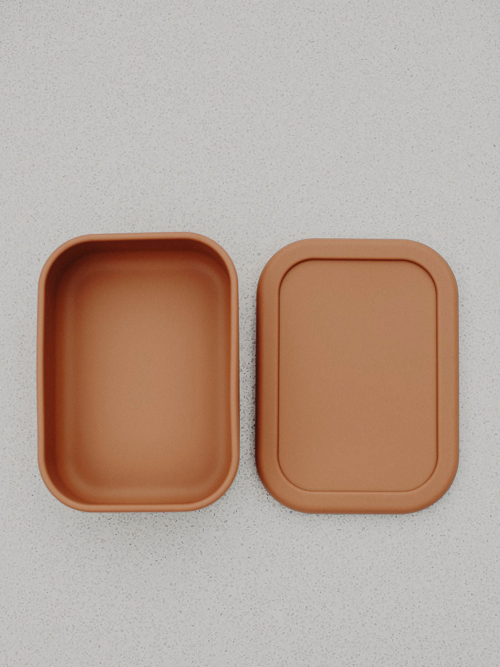 Silicone Lunch Box Rectangle - Earth